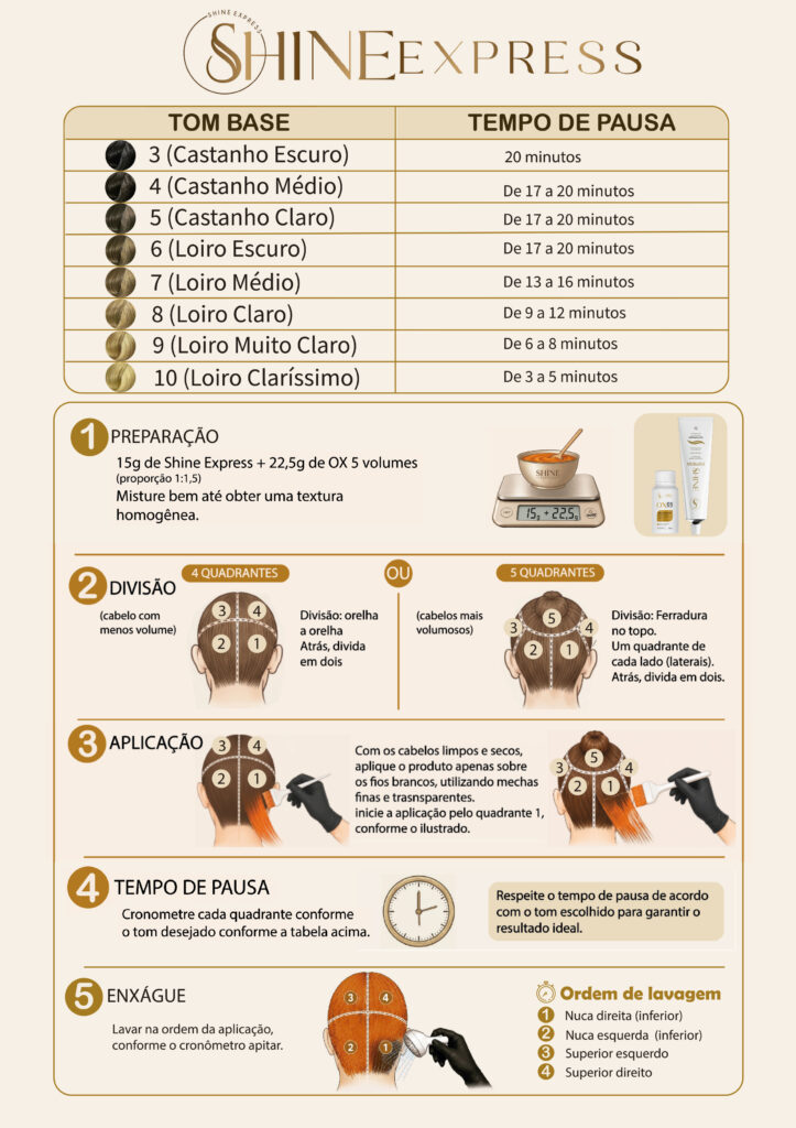 shine express verso atualizado